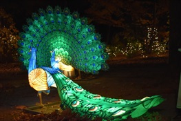 Bronx Zoo Holiday Lights Officially Open for the 2023 Holiday Season